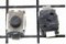 Кнопка мини  3х4 мм  2 pin   SMD
